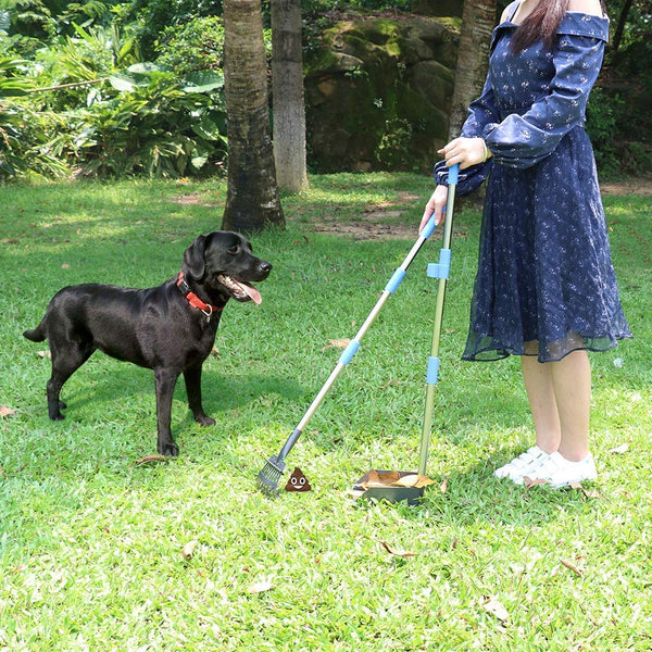 QiMH Dog Pooper Scooper, Long Handle Stainless Metal Pet Poop Tray and Rake Set for Small Medium Dogs Waste Removal, Clean Response Dog Waste Bin & Rake