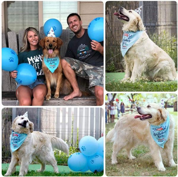 ZOOniq Dog Birthday Boy Bandana with Paw Print Party Cone Hat and 10 Balloons - Great Dog Birthday Outfit and Decoration Set - Perfect Dog or Puppy Birthday Gift