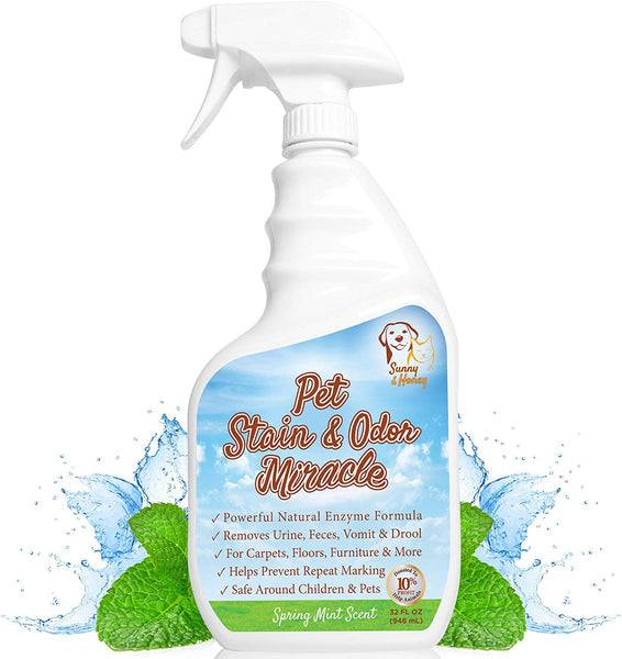 Pet Stain & Odor Remover, Enzyme Cleaner, Odor Eliminator, Best Carpet Stain Remover, Pet Odor Eliminator, Stain Remover, Odor Neutralizer, Cat Urine Smell - Cleaner - Eliminator, Sunny and Honey, 1 Gallon