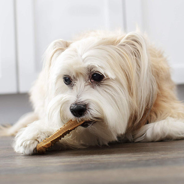 Milk-Bone Brushing Chews Daily Dental Dog Treats