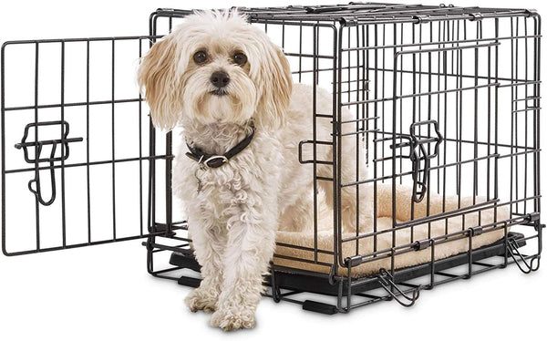 Petco Premium 2-Door Dog Crates