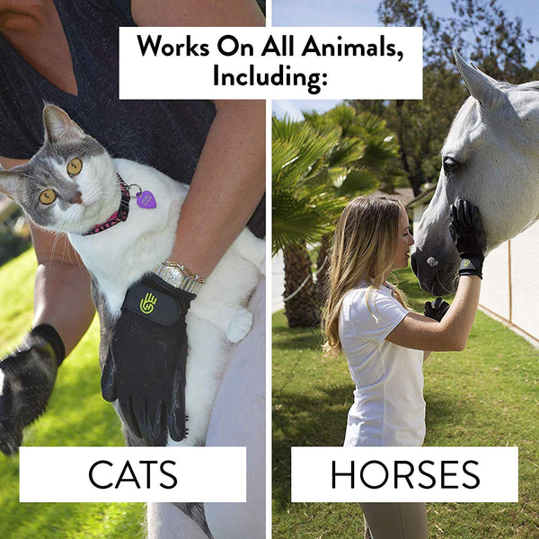 Handson Pet Grooming Gloves - #1 Ranked, Award Winning Shedding, Bathing, Hair Remover Gloves for Cats, Dogs, and Horses (2 Pairs, Same Color)