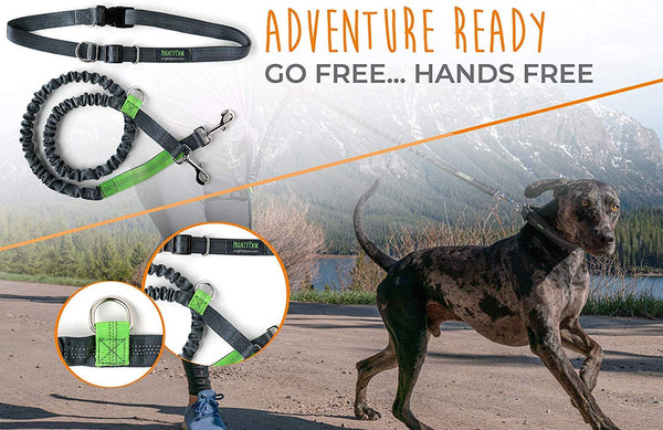 Mighty Paw Hands Free Dog Leash, Premium Running Dog Leash, Lightweight Reflective Bungee Dog Leash