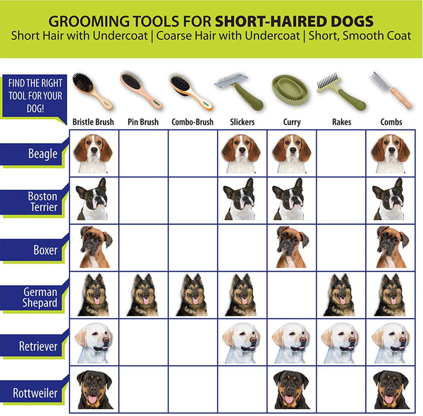 Safari by Coastal Dual-Sided Shedding Blade with Stainless Steel Blade De-Shedding Tool for All Dog Coat Types