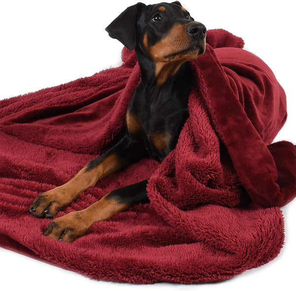 Large Dog Blanket,Super Soft Warm Sherpa Fleece Plush Dog Blankets and Throws for Large Medium Dogs Puppy Doggy Pet Cats,60"X50"