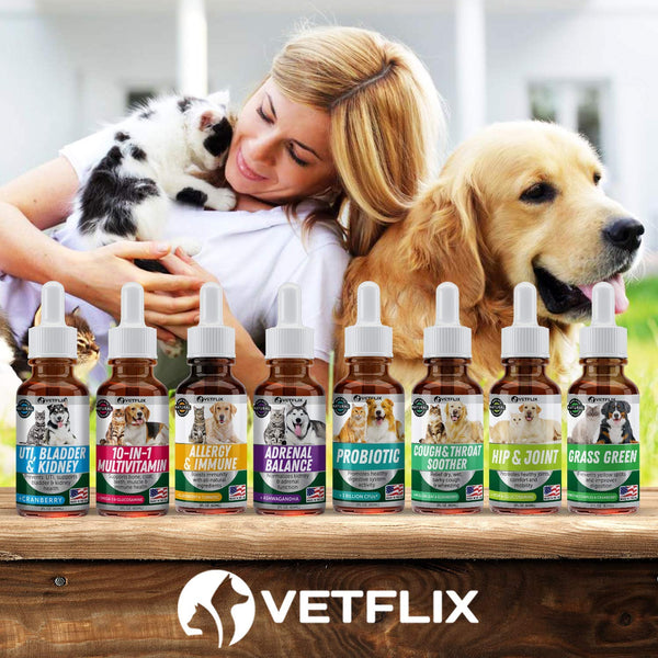 VETFLIX Pet Vitamins 10 in 1 - Made in USA - Glucosamine For Dogs & Cats - Dog Supplement for Pet Joint Health - Natural Cat & Dog Multivitamin - All Ages & Breeds - Folic Acid For Cats & Dogs Immune