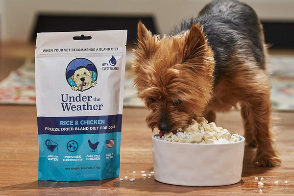 Under the Weather Pets | Easy to Digest Bland Dog Food Diet, Sick Dogs Sensitive Stomachs - Electrolytes - Gluten Free, All Natural, Freeze Dried 100% Human Grade Meat