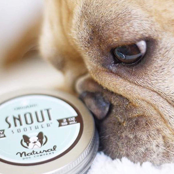 Natural Dog Company – Snout Soother - All-Natural Remedy for Chapped, Crusty and Dry Dog Noses - Veterinarian Recommended