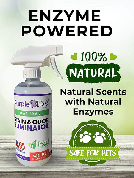 iPrimio Purple Pet Litter Urine Odor Eliminator Spray for Dogs and Cats - All Natural Enzyme Powdered - Made in USA