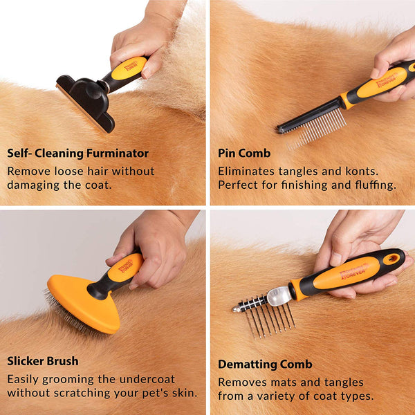 Friends Forever 6 in 1 Professional Pet Grooming Kit Box - Cats Dogs Nail Clippers & File, Wire Dog Brush/Slicker Brush, Deshedding Tool, Dematting Comb, Undercoat Rake