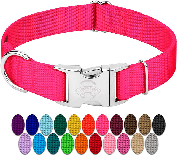 Country Brook Petz - Premium Nylon Dog Collar with Metal Buckle - Vibrant 25 Color Selection