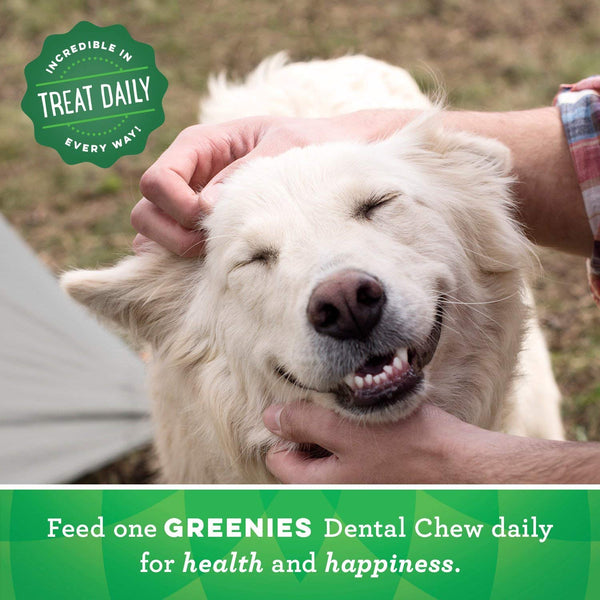 GREENIES Original Petite Natural Dog Dental Care Chews Oral Health Dog Treats, 72 oz. Pack (120 Treats)