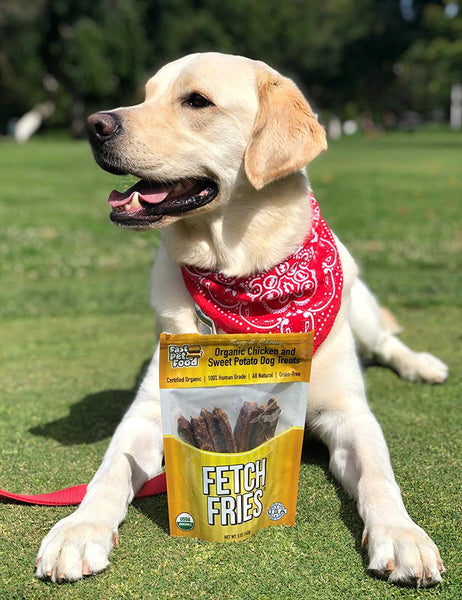 fetch fries Organic Dog Treats - USDA Certified Organic, Chicken & Sweet Potato, Made in USA, Human Grade, Grain Free, Soft and Chewy (5 oz)