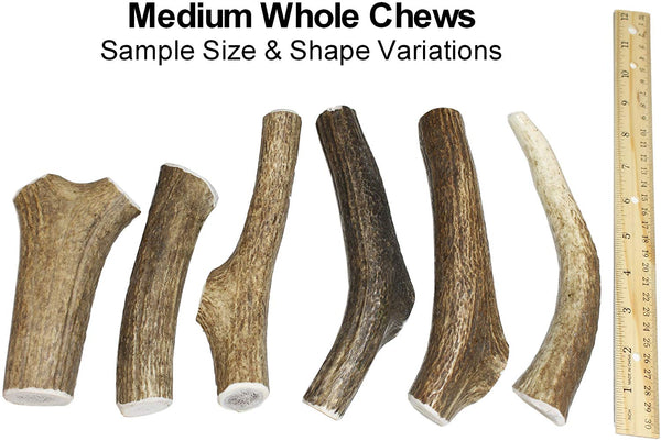 Medium, Whole, Single Pack - Grade A Premium Elk Antler Dog Chew for 20 to 45 lb Dogs – Naturally shed from Wild elk – No Mess, No Odor – Made in The USA