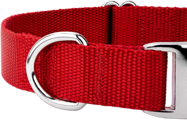 Country Brook Petz - Premium Nylon Dog Collar with Metal Buckle - Vibrant 25 Color Selection