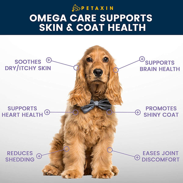 Petaxin Omega Fish Oil for Dogs - Skin and Coat Supplement Chews with EPA, DHA, and Omega-3 Fatty Acids - for Shiny Coats, Itch Free Skin, Hip & Joint Support, Heart & Brain Health - 120 Soft Chews