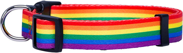 Native Pup Rainbow Flag Dog Collar