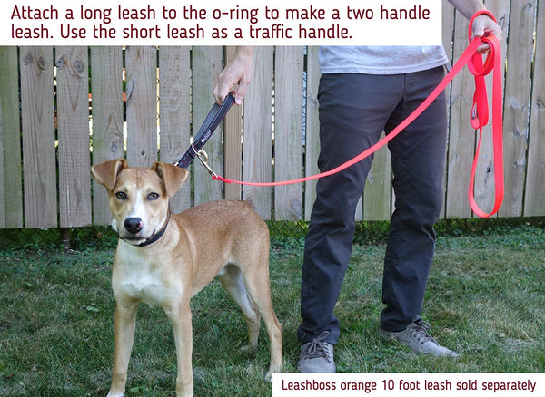 Leashboss Short Dog Leash with Padded Handle - 12, 18 and 24 Inch Reflective Leads with O-Ring - 1 Inch Wide Nylon for Training Medium and Large Dogs