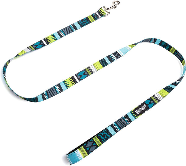 Friends Forever Durable Nylon Dog Leashes for Small Dogs to Large Dogs, Pattern Cat Leashes for Walking - Puppy Leash 5 Feet Long for Dogs & Cats