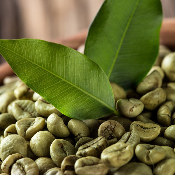 Crema De El Cafe Verde Para Eliminar La Celulitis - Crema Adelgazante Anticelulitis - Hidrata La Piel - Tratamiento 16 Onzas