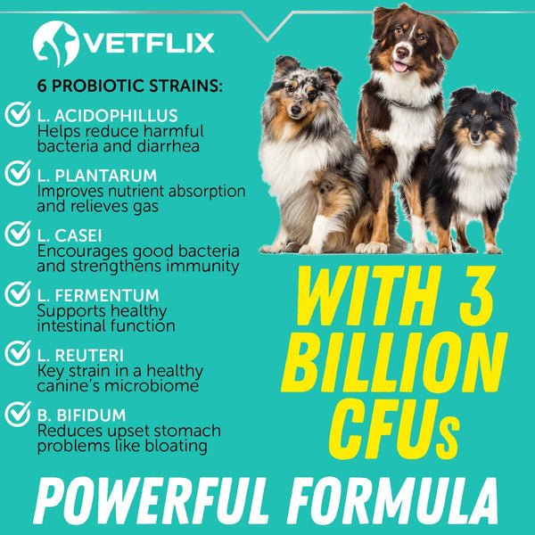 VETFLIX Probiotics for Dogs & Cats - Digestive Pet Enzymes - Made in USA - L.Rhamnosus & B.Lactis - Relieves Dog Diarrhea & Vomiting - Optimizes Pet Immune System - Enhances Overall Health