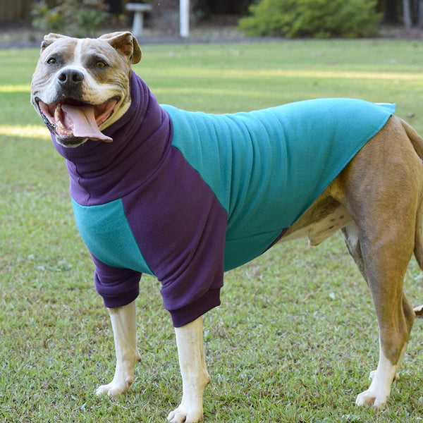 Tooth & Honey Dog Sweater\/Pitbull\/Large Dog\/French Bulldog\/Colorblock Sweatshirt\/Pullover