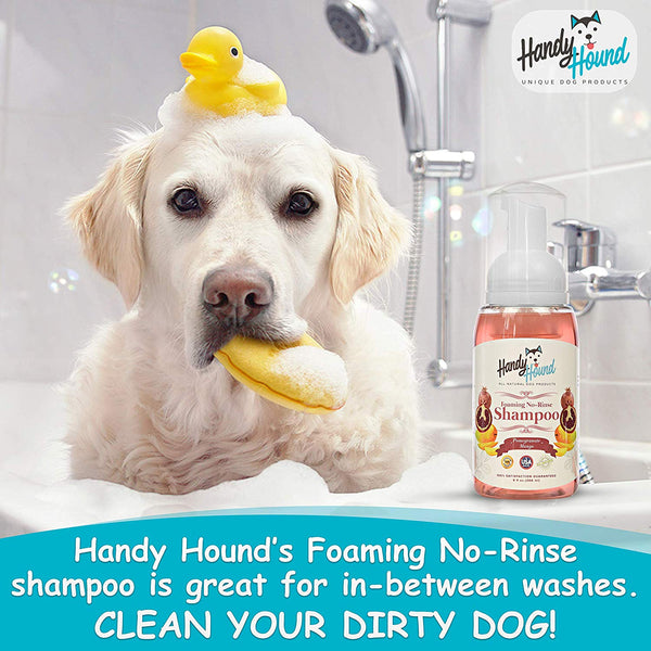 Handy Hound Foaming No Rinse Shampoo for Dogs or Cats | All-Natural Dry Waterless Pet Shampoo to Safely Remove Pet Odors | 9oz\/266ml, Made in USA.