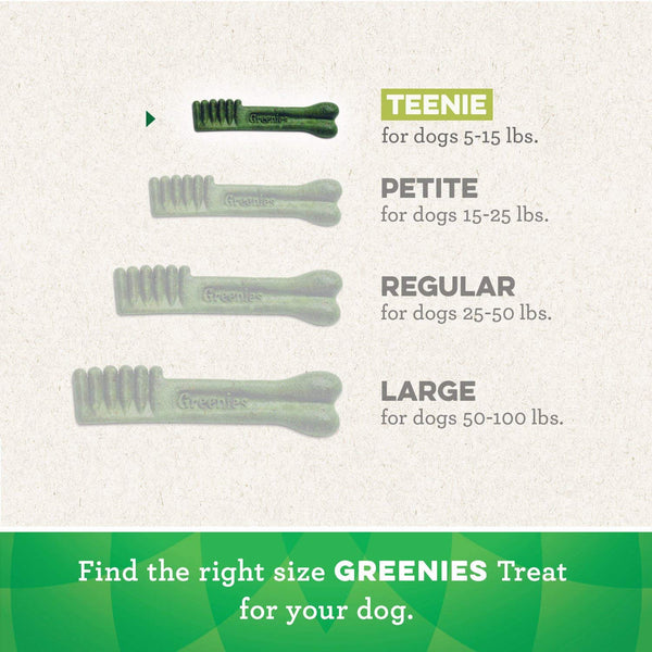 Greenies Blueberry Flavor Teenie Dog Dental Chews