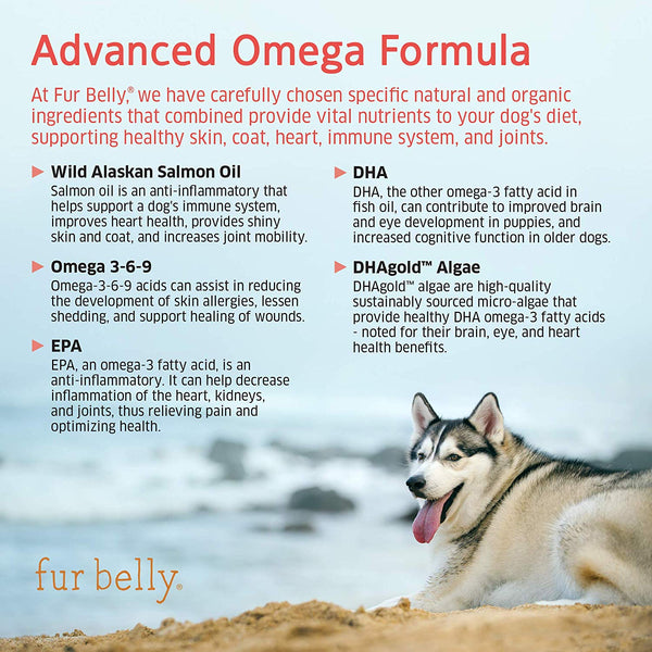 Omega 3 Fish Oil for Dogs - Wild Alaskan Salmon Oil for Dogs - DHA & EPA Fatty Acids - Healthy Skin & Coat - Dog Allergy & Dog Itch Relief - Joint & Immune Support -120 Soft Chew Dog Treats