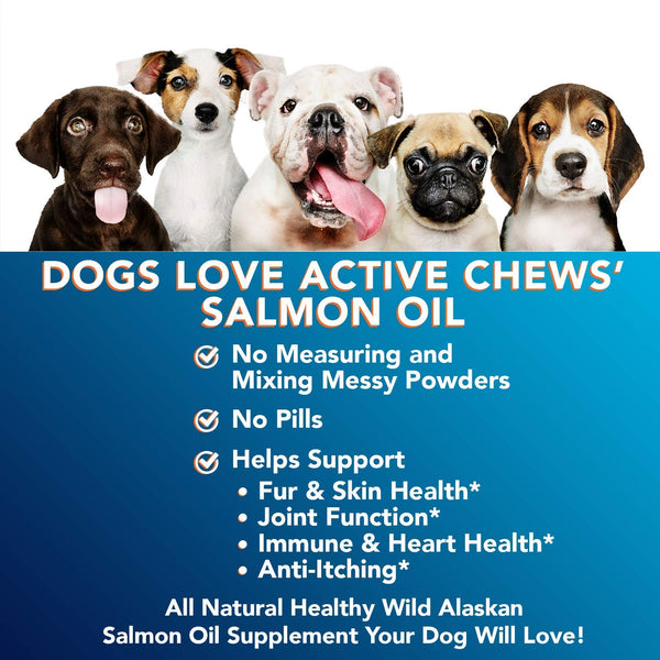 Active Chews Wild Alaskan Salmon Oil for Dogs - Natural Fish Oil for Dogs, Rich in Omega 3 for Dogs - Dog Skin and Coat Supplements, Supports Hip and Joint, Heart, Immune Health - 16 FL OZ