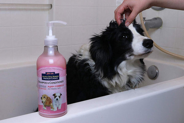 All Natural, Hypoallergenic | Gentle Puppy Shampoo + Conditioner with Aloe Vera | Antibacterial | pH Balanced | Tear Free | Detangler & Moisturizer | Odor Eliminator | Grooming Quality