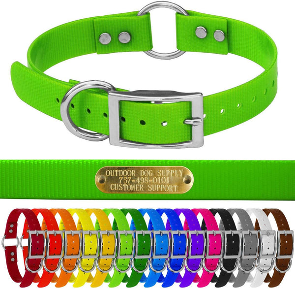 Outdoor Dog Supply's 1" Wide Solid Color Ring in Center Dog Collar Strap with Custom Brass Name Plate