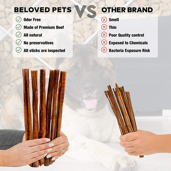 Beloved Pets Thick Bully Sticks for Dogs & Puppies 6 Inch - Best Beef Pizzle Made for USA - Supreme Chew Large Bully Sticks Odorless