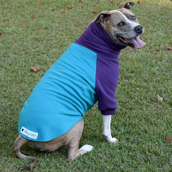 Tooth & Honey Dog Sweater\/Pitbull\/Large Dog\/French Bulldog\/Colorblock Sweatshirt\/Pullover