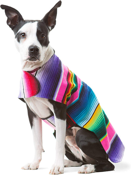 Handmade Dog Poncho from Mexican Serape Blanket - Dog Clothes - Coat - Costume - Sweater - Vest