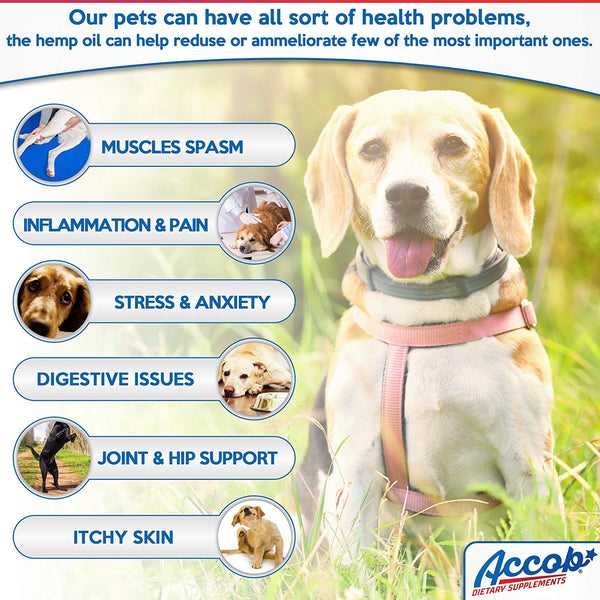 Accob - Hemp Oil for Dogs and Cats - 2000 MG - Separation Anxiety, Hip Joint Pain, Stress Relief, Arthritis,Seizures, Chronic Pains,Anti-Inflammatory - Omega 3,6 & 9 - Pure Organic- Calming Drops