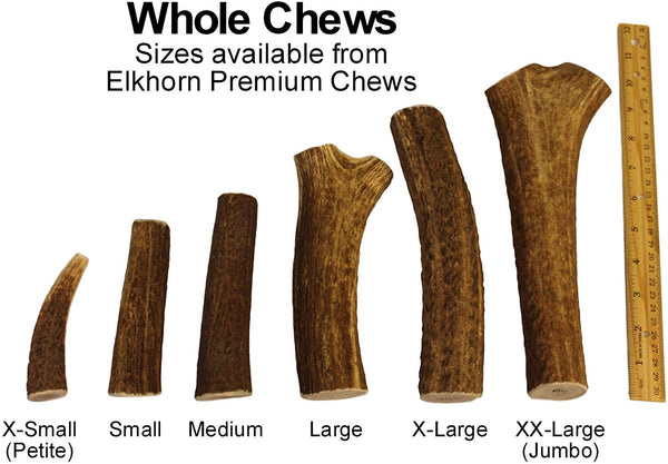 X Large, Whole, Single Pack - Grade A Premium Elk Antler Dog Chew for 50 to 90 lb Dogs – Naturally shed from Wild elk – No Mess, No Odor – Made in The USA