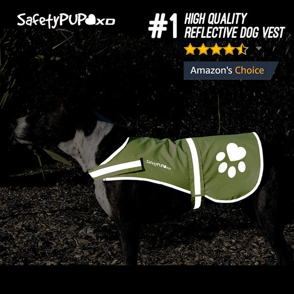 SafetyPUP XD - Protect Your Best Friend. Hi-Vis Fluorescent, Reflective Dog Vest Provides Crucial Visibility Helping You Safeguard Your Pet from Cars & Rural Accidents, On or Off Leash