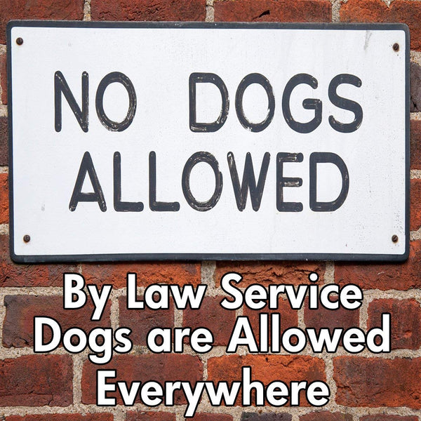 Service Dog Cards - 50 ADA Service Dog Information Cards State Your Rights - Service Dog ADA Info Cards state your legal rights - Give them to people that don't know your rights which allow you to bring your dog anywhere