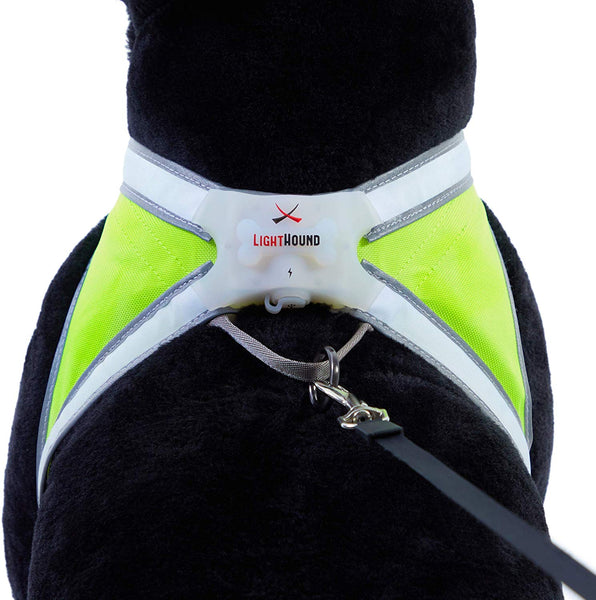 noxgear LightHound – Revolutionary Illuminated and Reflective Harness for Dogs Including Multicolored LED Fiber Optics (USB Rechargeable, Adjustable, Lightweight, Rainproof)