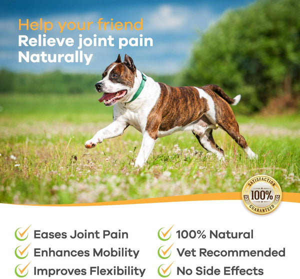 POINTPET Glucosamine for Dogs, Premium Joint Supplement with Chondroitin, MSM, Omega 3, 6, Vitamin C and E, Supports Healthy Joints, Improves Mobility and Hip Dysplasia, Arthritis Pain Relief