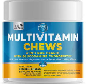 Ready Pet Go! Dog Multivitamin Treats for Dogs - Glucosamine for Dogs + Probiotics for Dogs + Heart, Immune, Skin and Coat, Hip and Joint Dog Vitamins and Supplements - 6-in-1 Benefits - 90 Soft Chews