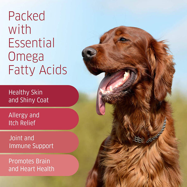 Omega 3 Fish Oil for Dogs - Wild Alaskan Salmon Oil for Dogs - DHA & EPA Fatty Acids - Healthy Skin & Coat - Dog Allergy & Dog Itch Relief - Joint & Immune Support -120 Soft Chew Dog Treats