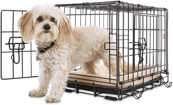 Petco Premium 2-Door Dog Crates