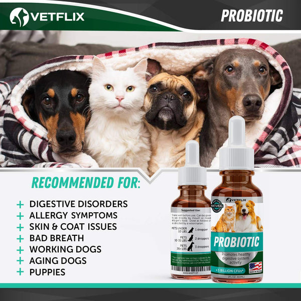 VETFLIX Probiotics for Dogs & Cats - Digestive Pet Enzymes - Made in USA - L.Rhamnosus & B.Lactis - Relieves Dog Diarrhea & Vomiting - Optimizes Pet Immune System - Enhances Overall Health