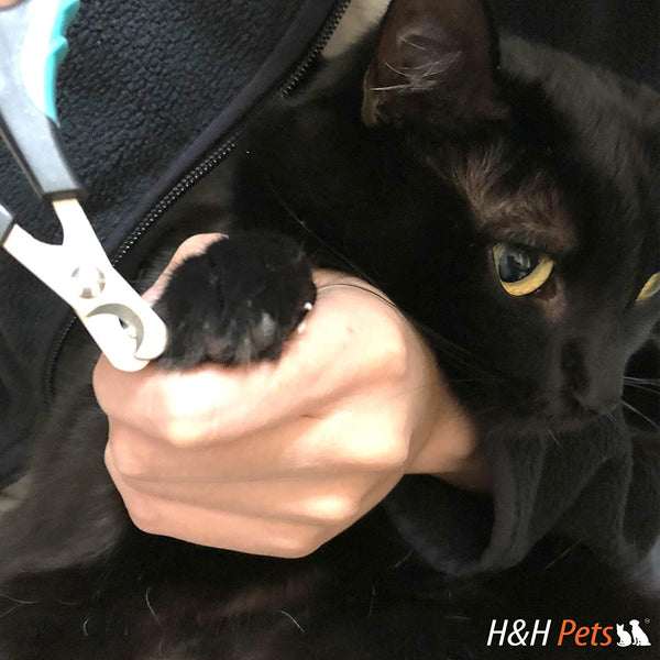 H&H Pets Dog and Cat Nail Clippers & Scratch Tape Professional Small Breed Claw Clippers, Cat Nail Clippers Small, Anti-Scratch Cat Deterrent Training Tape, Essential Grooming Tool