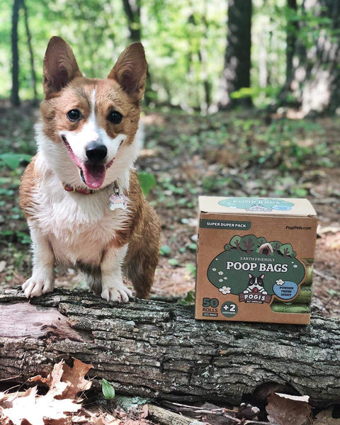 Pogi’s Poop Bags - 50 Rolls (750 Dog Poop Bags) +2 Dispensers - Leak-Proof, Earth-Friendly Poop Bags for Dogs