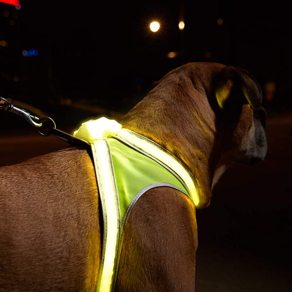 noxgear LightHound – Revolutionary Illuminated and Reflective Harness for Dogs Including Multicolored LED Fiber Optics (USB Rechargeable, Adjustable, Lightweight, Rainproof)