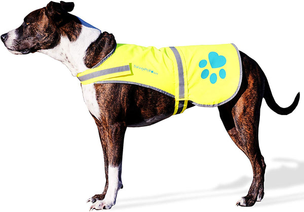 SafetyPUP XD - Protect Your Best Friend. Hi-Vis Fluorescent, Reflective Dog Vest Provides Crucial Visibility Helping You Safeguard Your Pet from Cars & Rural Accidents, On or Off Leash