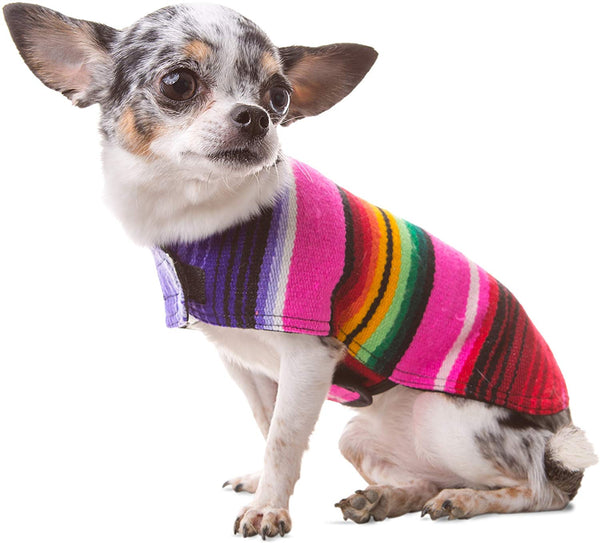 Handmade Dog Poncho from Mexican Serape Blanket - Dog Clothes - Coat - Costume - Sweater - Vest